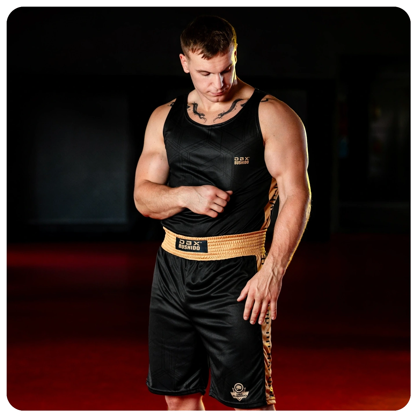 spodenki bokserskie gold dbx bushido