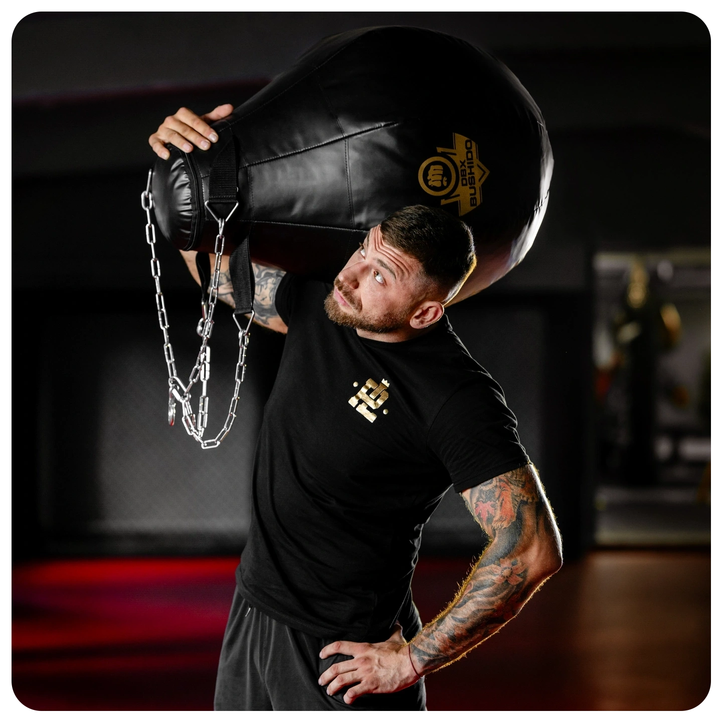 gold xxl grusza dbx bushido