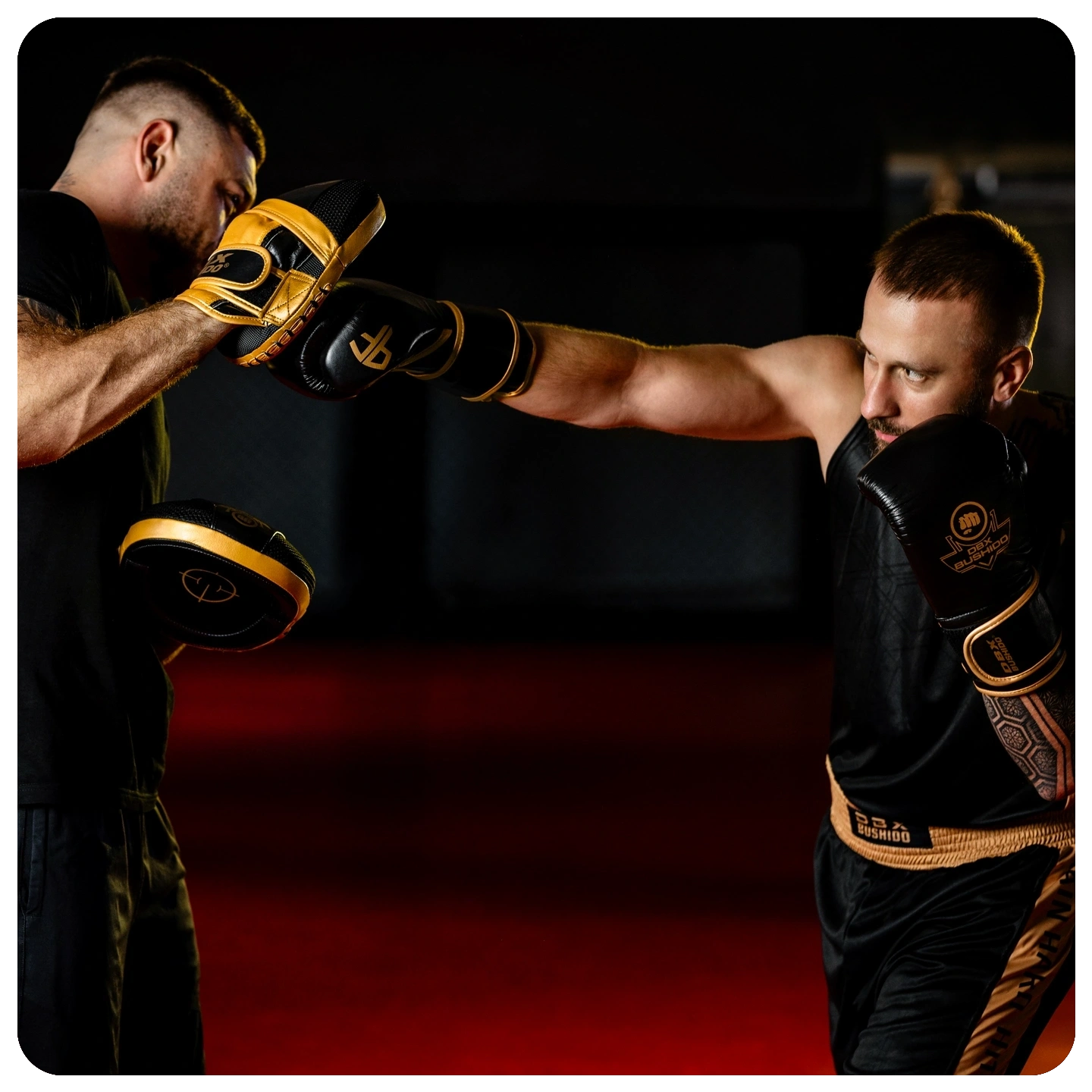 mateusz gamrot rękawice profighter gold bordeaux 