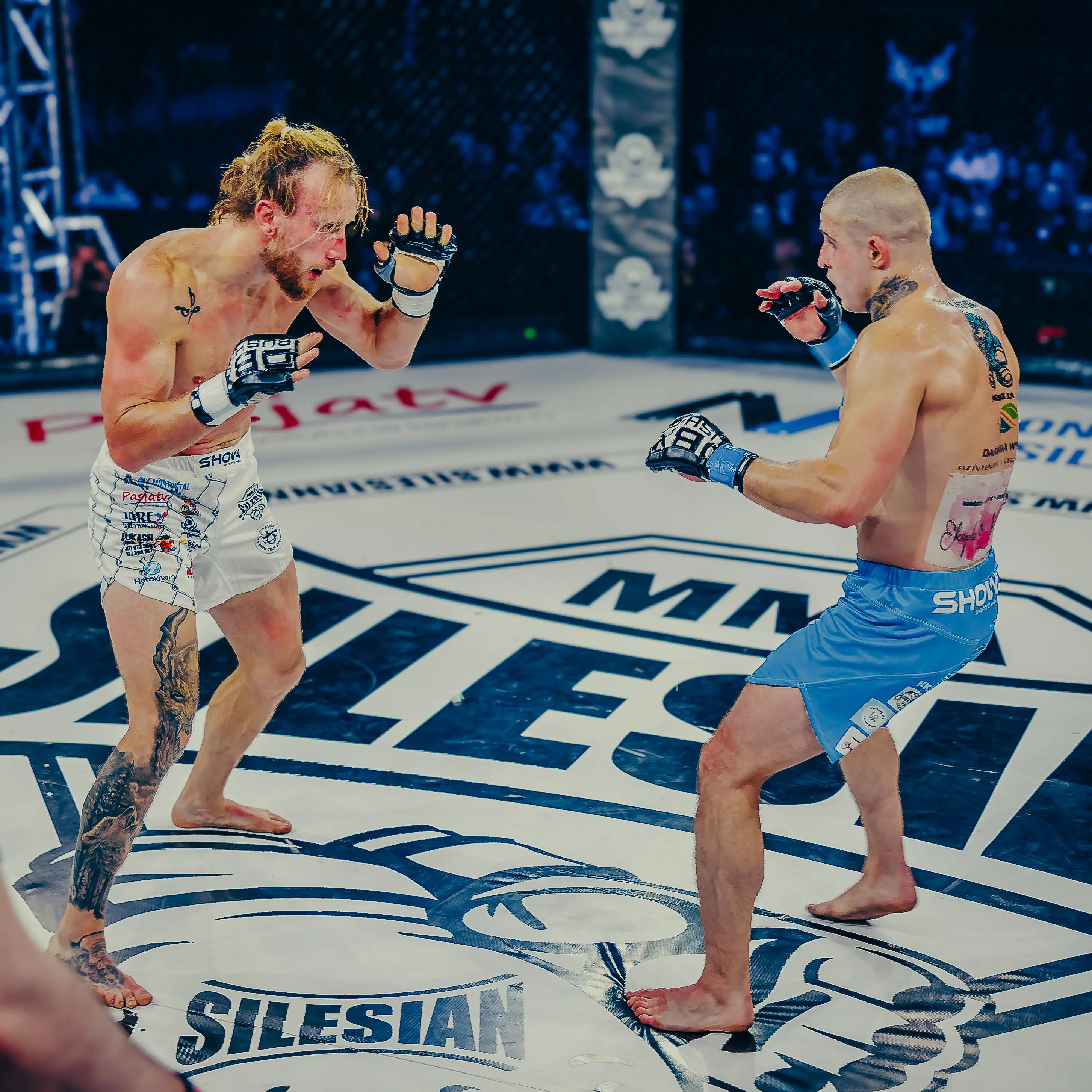 silesian mma 18