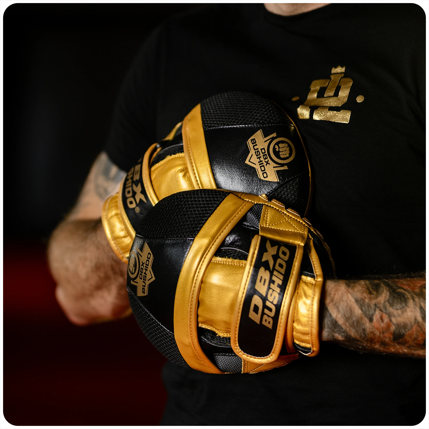 łapy trenera tarcze ze skóry naturalnej profighter dbx bushido