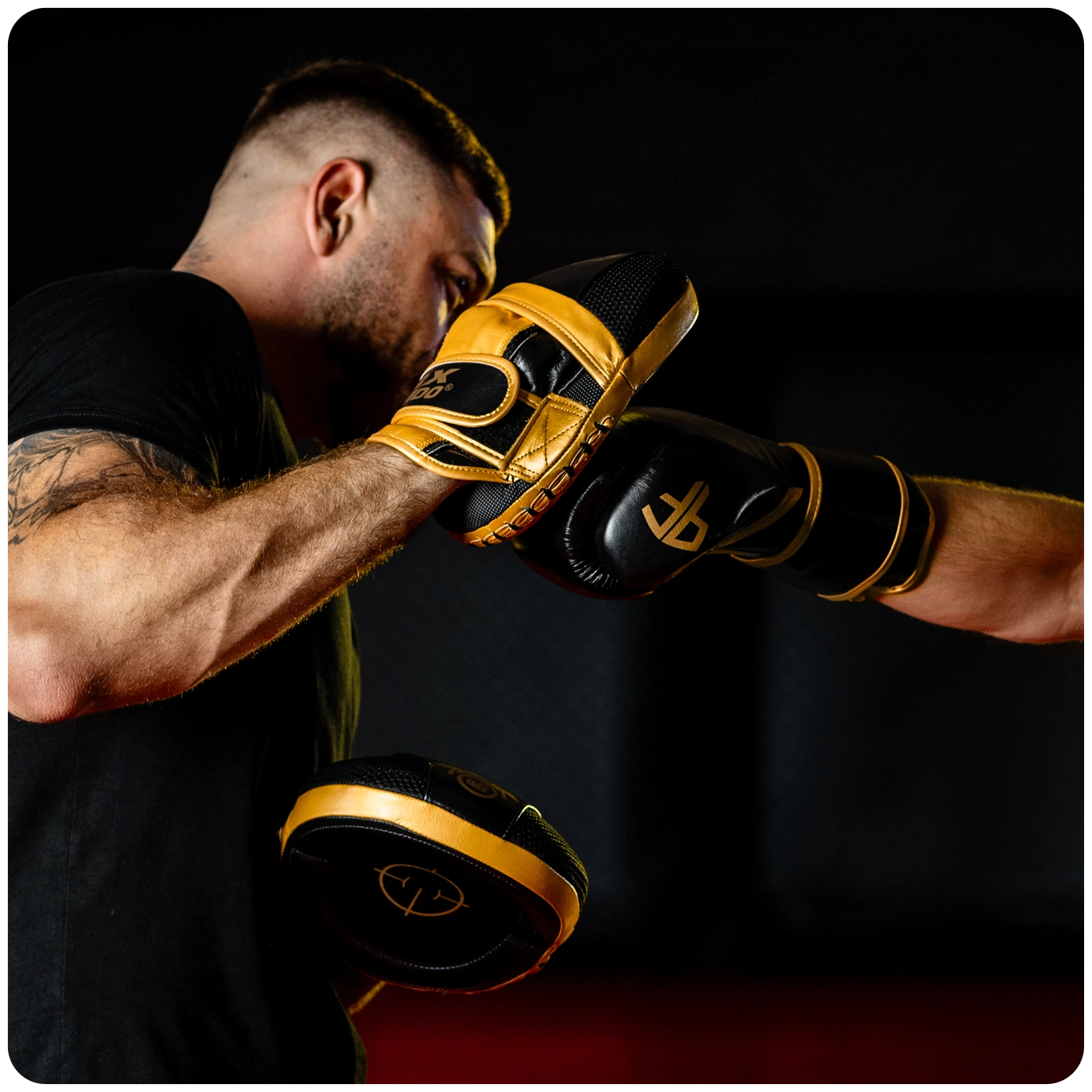 łapy trenera tarcze ze skóry naturalnej profighter dbx bushido