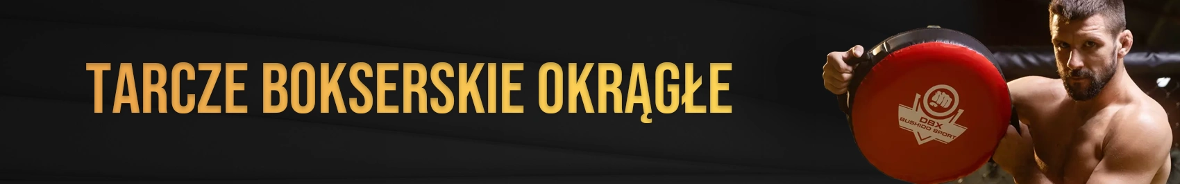 rękawice bokserskie DBX Bushido
