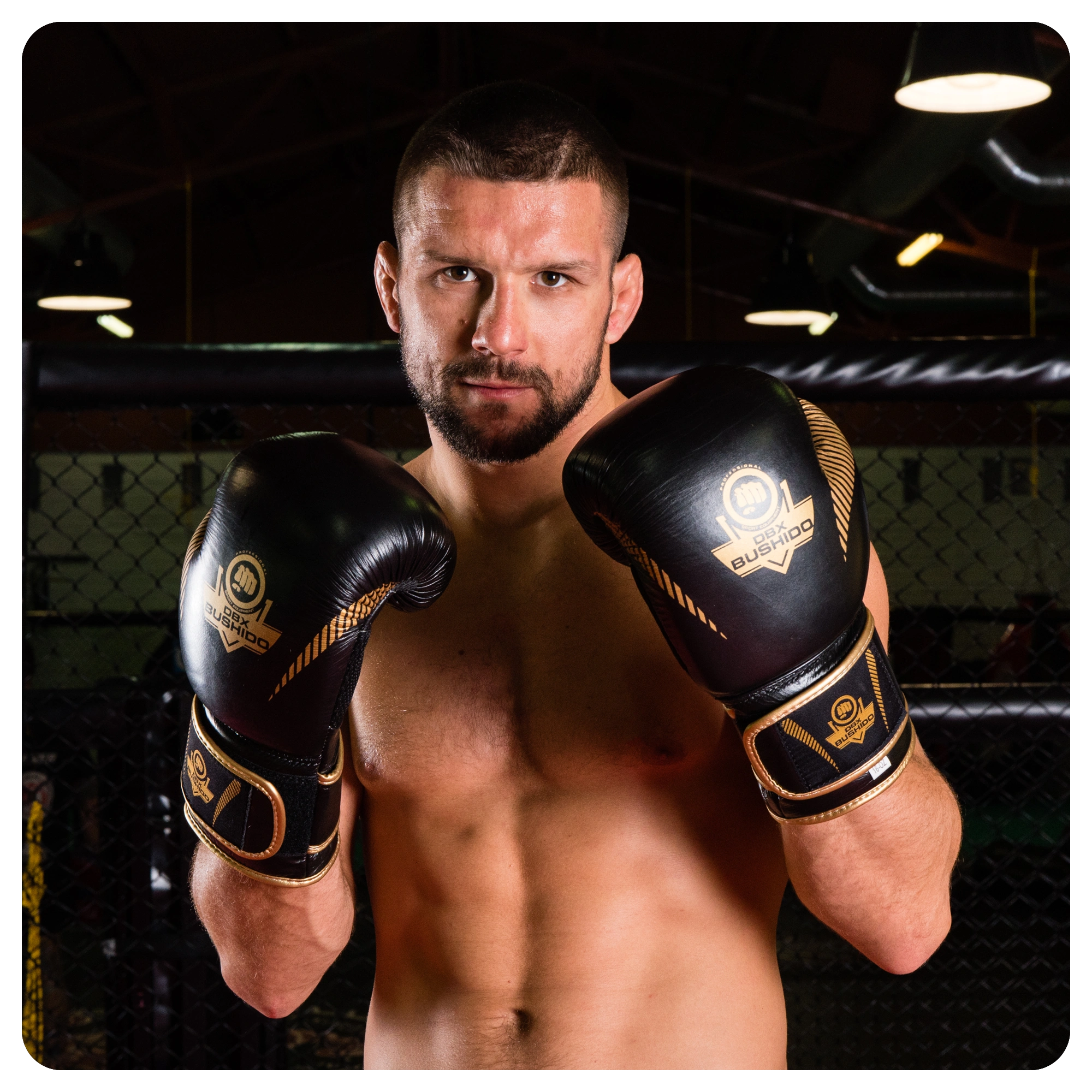 dbx bushido rekawice bokserskie