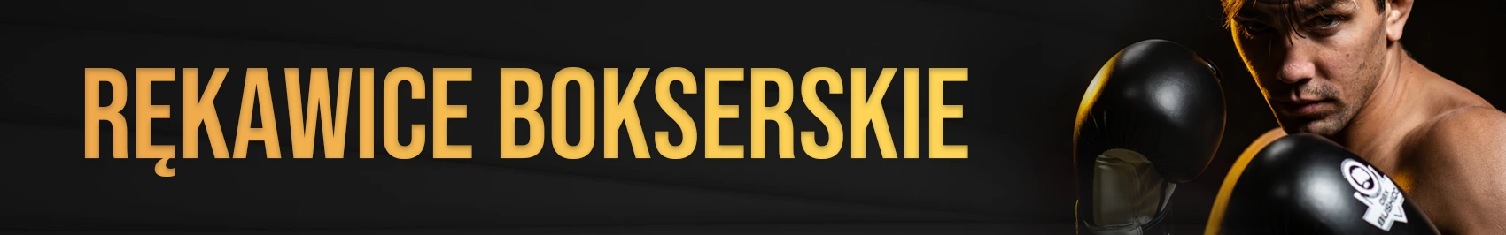 rękawice bokserskie DBX Bushido