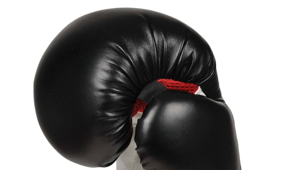 boxing gloves 12 oz