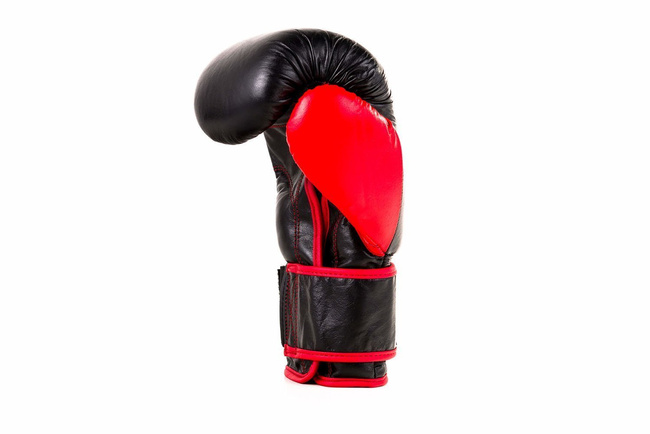 Rękawice bokserskie 12oz - Ninja - Legacy Series | DBX Bushido