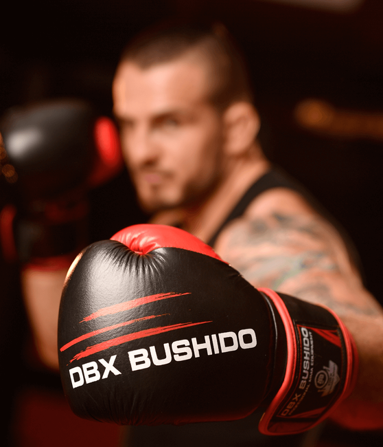 Rękawice bokserskie 10oz - Ninja - Legacy Series | DBX Bushido
