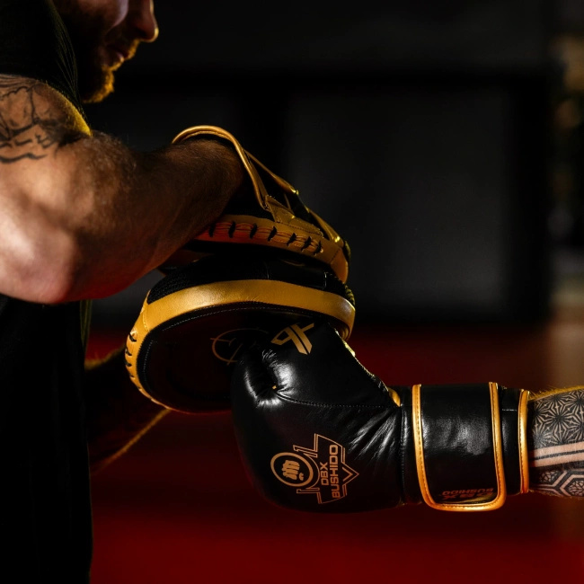Łapy trenera ze skóry naturalnej | ProFighter