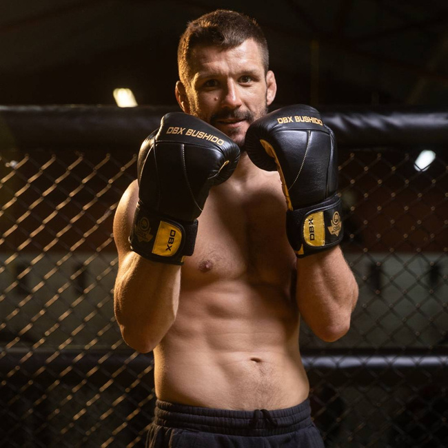 Rękawice bokserskie 14oz - Hammer Gold - Legacy Series | DBX Bushido