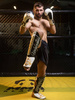 Ochraniacze na piszczele L - Undefeated | DBX Bushido