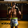 Rękawice bokserskie 12oz - Hawk - Origin Series | DBX Bushido