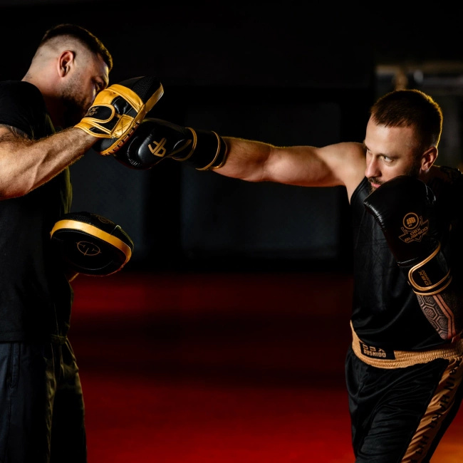Łapy trenera ze skóry naturalnej | ProFighter