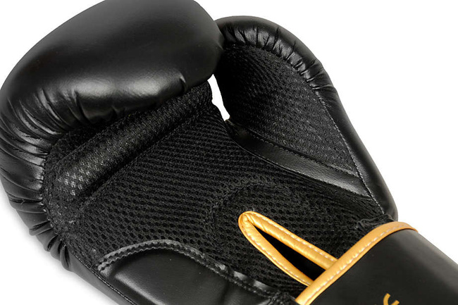 Rękawice bokserskie 12oz - Hawk - Origin Series | DBX Bushido