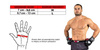 ARM-2014a Rękawice do MMA DBX BUSHIDO L