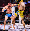 Rękawice MMA L - Phantom Red - Valor Series
