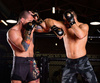 Rękawice MMA sparingowe M - Aureos - Valor Series