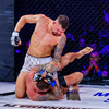 Rękawice MMA M - Harmony - Valor Series