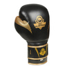 Rękawice bokserskie 10oz - Golden - seria Valor
