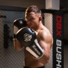 Rękawice bokserskie 12oz - Phantom White - Valor Series | DBX Bushido