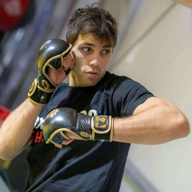 Rękawice MMA sparingowe XL - Aureos - Valor Series | DBX Bushido