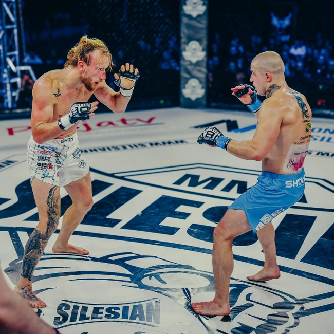 Rękawice MMA M - Harmony - Valor Series