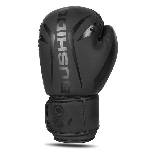 Rękawice bokserskie 10oz - Raptor - seria Origin