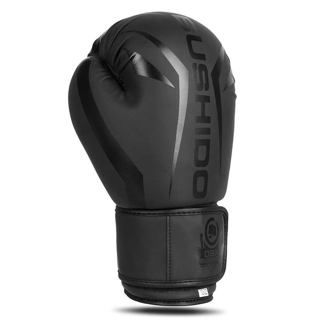Rękawice bokserskie 10oz - Raptor - seria Origin