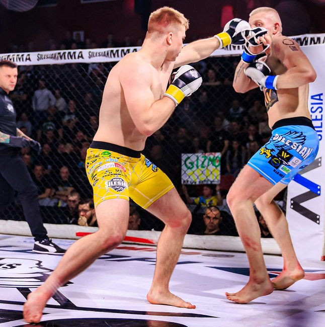 Rękawice MMA sparingowe S/M - Edge - Valor Series | DBX Bushido