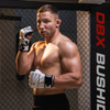 Rękawice MMA L - Japan - Valor Series
