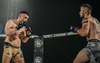 Rękawice MMA sparingowe M - Taver Black - Origin Series