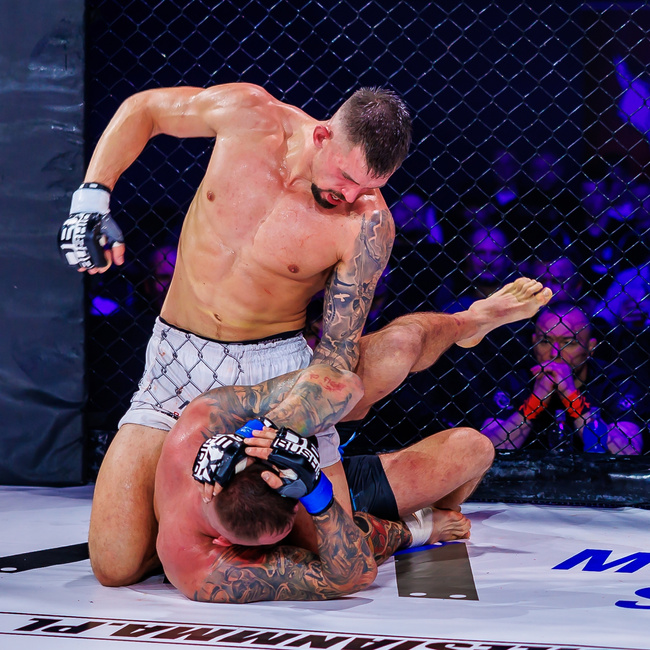 ARM-2023 Rękawice do MMA DBX BUSHIDO L