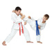 Kimono do karate dla dziecka + PAS Gratis - DBX BUSHIDO ARK-3102 130 cm