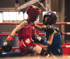 Dwustronny Ochraniacz Tułowia OT1 - M | DBX Bushido