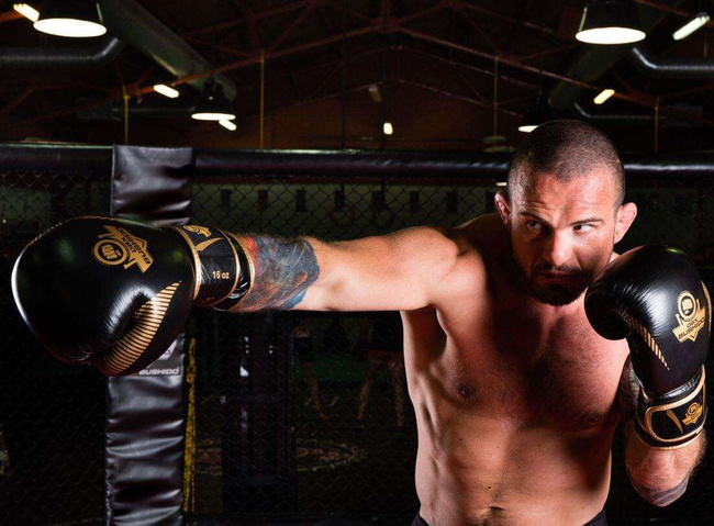 Rękawice bokserskie 16oz - Aureos - Valor Series | DBX Bushido