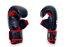 Rękawice przyrządowe L - Mitts Classic