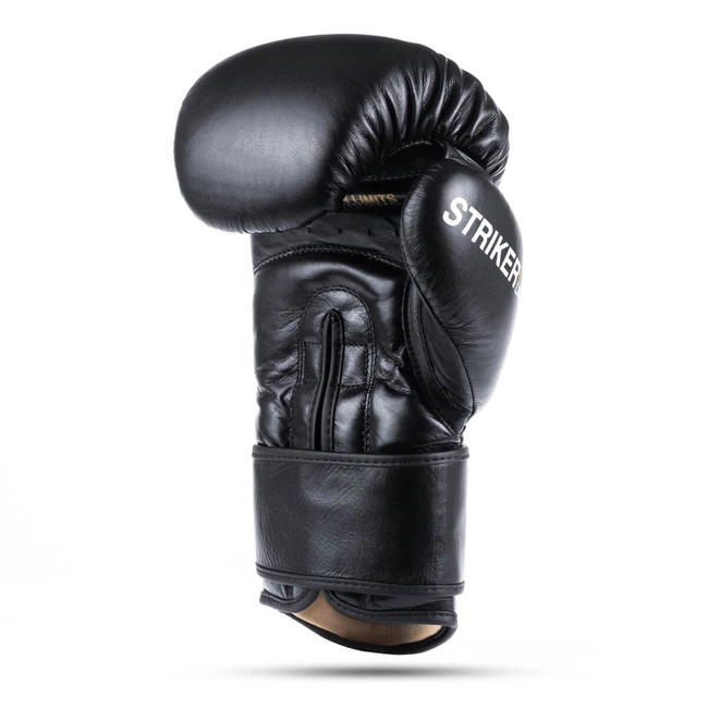 Rękawice bokserskie 10oz - Striker - Legacy Series | DBX Bushido