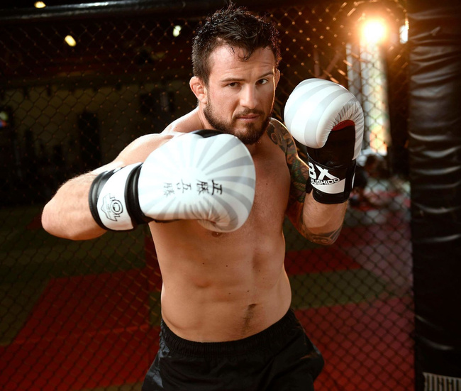 Rękawice bokserskie 14oz - Japan - Valor Series | DBX Bushido