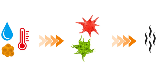 Odświeżacz, osuszacz do sprzętu sportowego | DBX Dryer (2 sztuki)