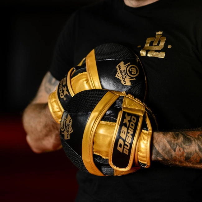 Łapy trenera ze skóry naturalnej | ProFighter | DBX Bushido
