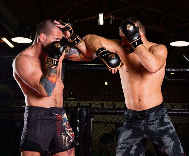 Rękawice MMA sparingowe M - Aureos - Valor Series