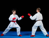 Rękawice do karate WKF - napięstniki | S