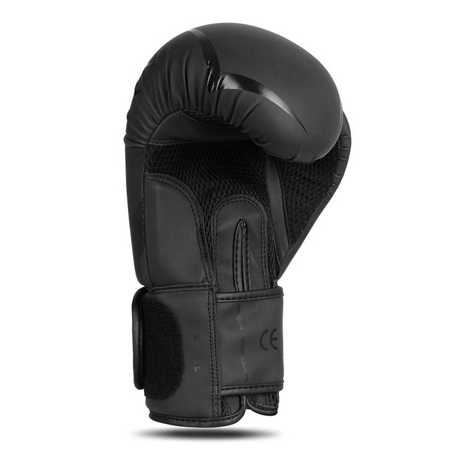 Rękawice bokserskie 10oz - Raptor - seria Origin