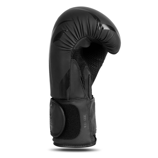 Rękawice bokserskie 10oz - Raptor - seria Origin