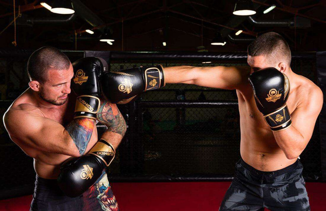 Rękawice bokserskie 16oz - Aureos - Valor Series | DBX Bushido