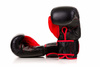 Rękawice bokserskie 12oz - Ninja - Legacy Series | DBX Bushido
