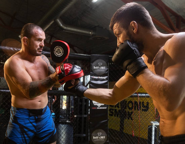 Mini łapy trenera | ARF-1118a | Zestaw 2 sztuk | DBX Bushido