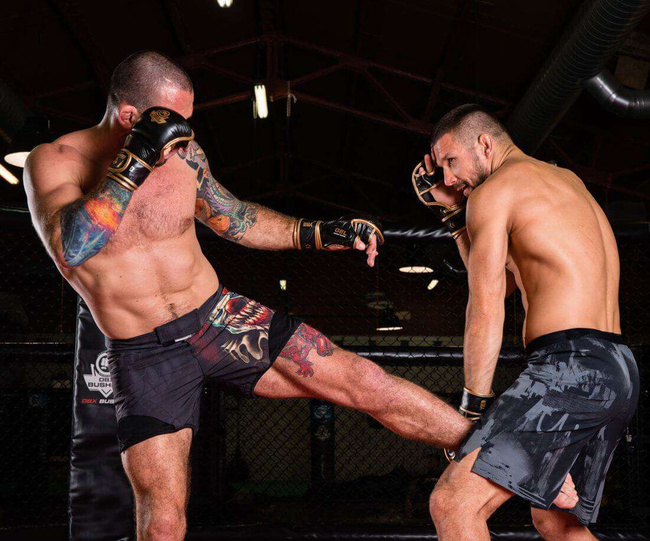 Rękawice MMA sparingowe M - Aureos - Valor Series