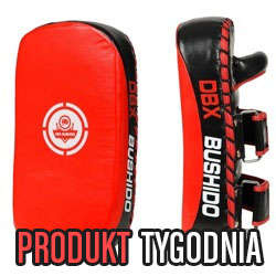 Tarcza treningowa PAO ze skóry naturalnej | 1 sztuka