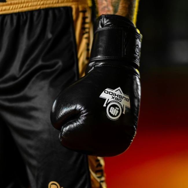 Rękawice bokserskie 10oz - ProFight - Legacy Series | DBX Bushido